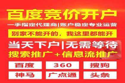 竞价广告策略：网络推广在旅游行业的运用案例